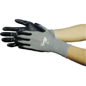 aR[|[V g p[OuZERO M 1pbN(10o)(526M) ڈ݌=