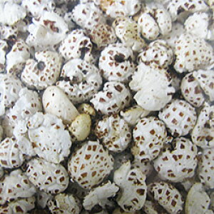 ͂ƂނH[ X̖IXY͂Ƃނ(ݗ) ͂Ƃނǂ 70g(Yi) Yi