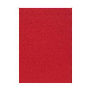 | PP@B5ⳁ@}[Ch@(1737352) 񂹏i