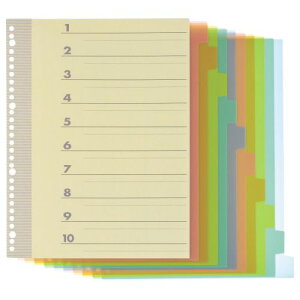 TPS CfbNX(PP) A4^e 2E4E30 10R1g 1pbN(TI-A4-10P) ڈ݌=