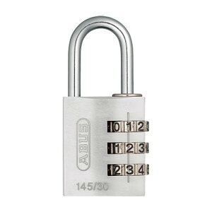 {NmX ABUS@싞@145^30@SILVER 񂹏i