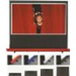 LN`Ȋw X^CXg~ebh㎮XN[100^16F9WH}bgAh(SD-100HDWA/R) 񂹏i