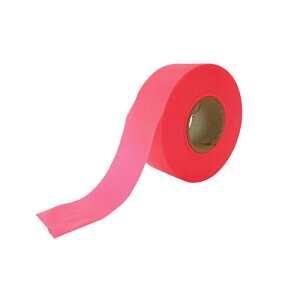 }C]bNX }C]bNX rj[e[v 1(BT30P) ڈ݌=