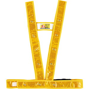{Ώ\ LEDS˃xXg n/LED/ LED^XL^xXg-GR t[(\) 1(238027) ڈ݌=