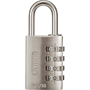 AoX io[ώ싞 145-4d 30mm Vo[ 1(145/4D 30MM SILVER) ڈ݌=