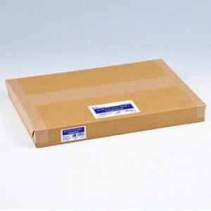 쐻쏊 tNAz_[A4 LCHMA4W100(K019-405-WCH4) 񂹏i