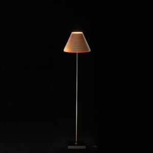 BUNACO uiR tAX^h F(i`) LED@E26/ 60`(BL-F481) Yi