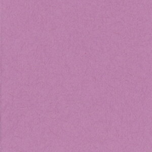 ebN j[J[R l ނ炳 1pbN(100)(4NCR-231) ڈ݌=