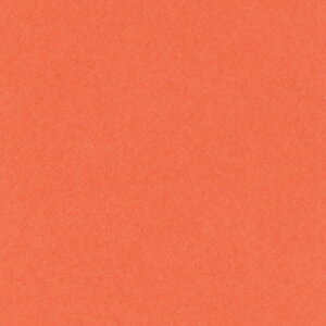 ebN j[J[R l  1pbN(100)(4NCR-213) ڈ݌=