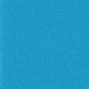 ebN j[J[R l  1pbN(100)(4NCR-216) ڈ݌=