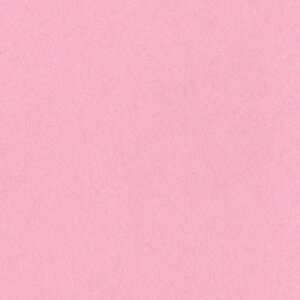 ebN j[J[R  Ƃ 1pbN(100)(8NCR-234) ڈ݌=