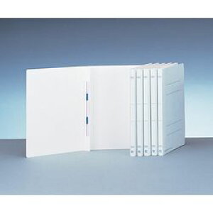  N[[pt@C@20 (1pbN(20))(SCFA4) ڈ݌=