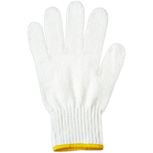 ~^jR[|[V VmR Z 1pbN(12o)(202905) ڈ݌=