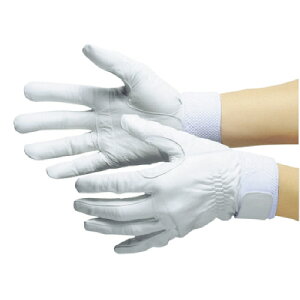 V rv ZCo[No.75 LL 1o(SAVERNO.75LL) ڈ݌=