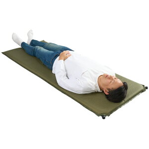 I[~PV cGA[}bg 70×180cm O[ 1(4006) 񂹏i