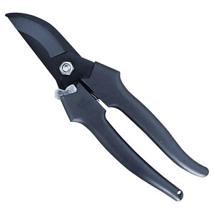 @ yʙ(|[`t)(K50411529) 񂹏i