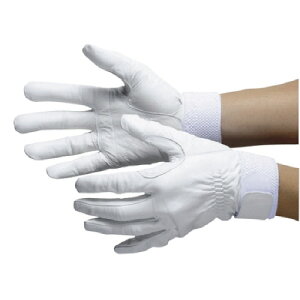 V rv ZCo[No.75 M 1o(SAVERNO.75M) ڈ݌=