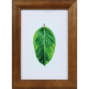 Kenko@Tokina ʐ^ S̖ LE2Lp uE PS-GM-BR(1250173) 񂹏i