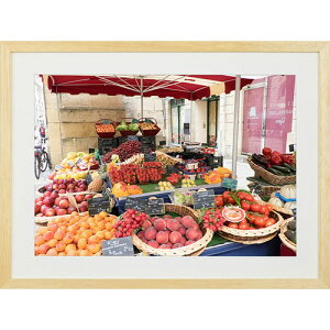 Kenko@Tokina ؐz NEWK[f i` A3 MNGA-A3-NA(1250213) 񂹏i