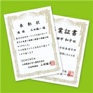 TTvC SANWA SUPPLY CNWFbgp܏(A4Ec)(JP-SHA4TN2) [J[݌ɕi