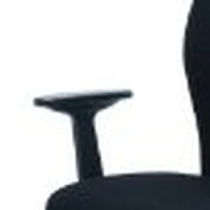 Digio�@2 �Œ�A�[�� �I�v�V���� ( �`�F�A RZC-605 �V���[�Y��p ) �u���b�N(CA-A605BK) ���񂹏��i