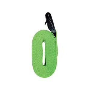 C`lMTM ג߃xg@25mm×6m (1{)(15412) ڈ݌=