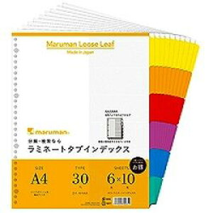 }} NA|Pbgp ~l[g^uCfbNX A4Ch 30 6F6R+ 1pbN(10g)(LT3006F) ڈ݌=