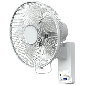 ZEPEAL RǊ|@ 1(DKF-J34N) ڈ݌=