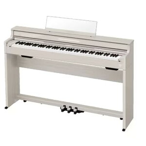 JVIvZ@iCASIOj CASIO AP-S450GB [J[݌ɕi