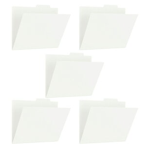 vX PPʃtH_[+ A4 zCg 1pbN(5)(FL-161IF WH) ڈ݌=