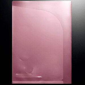 TPS NAz_[_u|Pbg A4 sN 1pbN(10)(TCDP-A4P) ڈ݌=