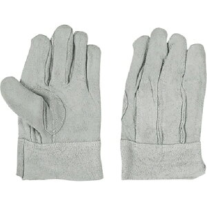 ӂ ӂ vwDȎ M 1o(480M) ڈ݌=