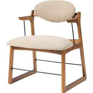 J tA`FAH(NRS-510H) [J[݌ɕi