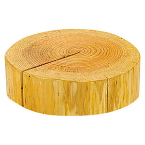 }R[ p Ɩp YEۑfBXvC a()(yamaco45031) 񂹏i