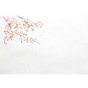 }R[ p Ɩp 5_a΂܂ lG  (100)(yamaco65183) 񂹏i