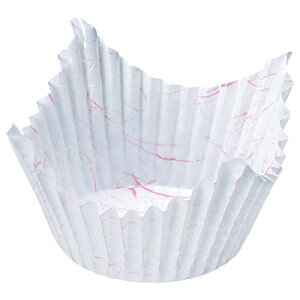 }R[ p Ɩp ʒ g~F (450)(yamaco66847) 񂹏i