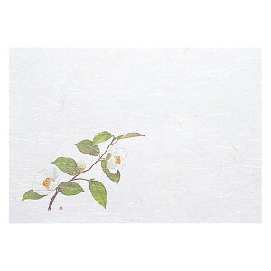 }R[ p Ɩp 1茳܂ lG  (100)(yamaco64959) 񂹏i