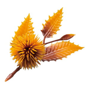 }R[ p Ɩp lG̉Ԃ I () (200)(yamaco64332) 񂹏i