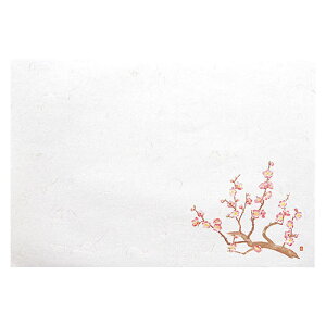 }R[ p Ɩp 5_a΂܂ lG ~ (100)(yamaco65182) 񂹏i