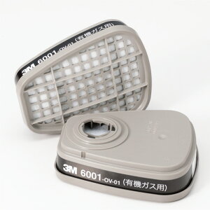 3M hŃ}XNL@KXpz 1g(2)(6001) ڈ݌=