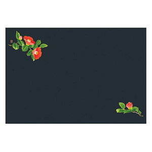 }R[ p Ɩp 3RێlGʂ܂ H̉  (50)(yamaco66772) 񂹏i