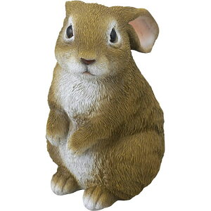 Z[uEC_Xg[ Z[uC_Xg[ ~j(C6043560) 񂹏i