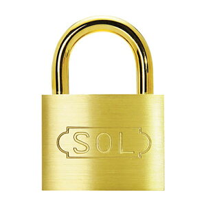  SOLV_[싞 1(2500SD-25) ڈ݌=