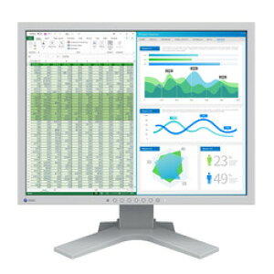 EIZO FlexScan S2134-HGY 񂹏i