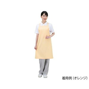 RE RECXGv Dr.Earth | IW E3500-6T (1) 񂹏i