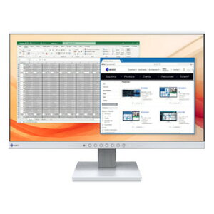 EIZO EV2130-GY 񂹏i