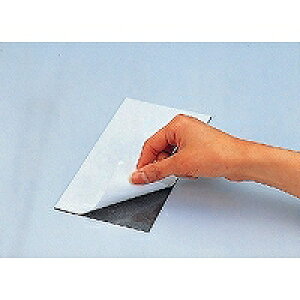 {NmX }OlbgV[gS(MS-2) 񂹏i