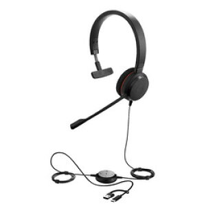 Jabra Jabra Evolve 20 MS Mono USB C/A(4993-823-169) 񂹏i