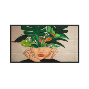 tBbvX 50C`TCl[W/3840×2160/DVI HDMI DisplayPort(50BDL4550D/11) 񂹏i