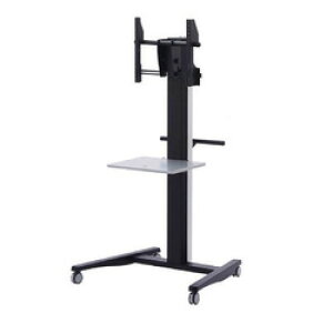 mؐ쏊 fBXvCX^h KANI+(TCDS-IC55N) 񂹏i